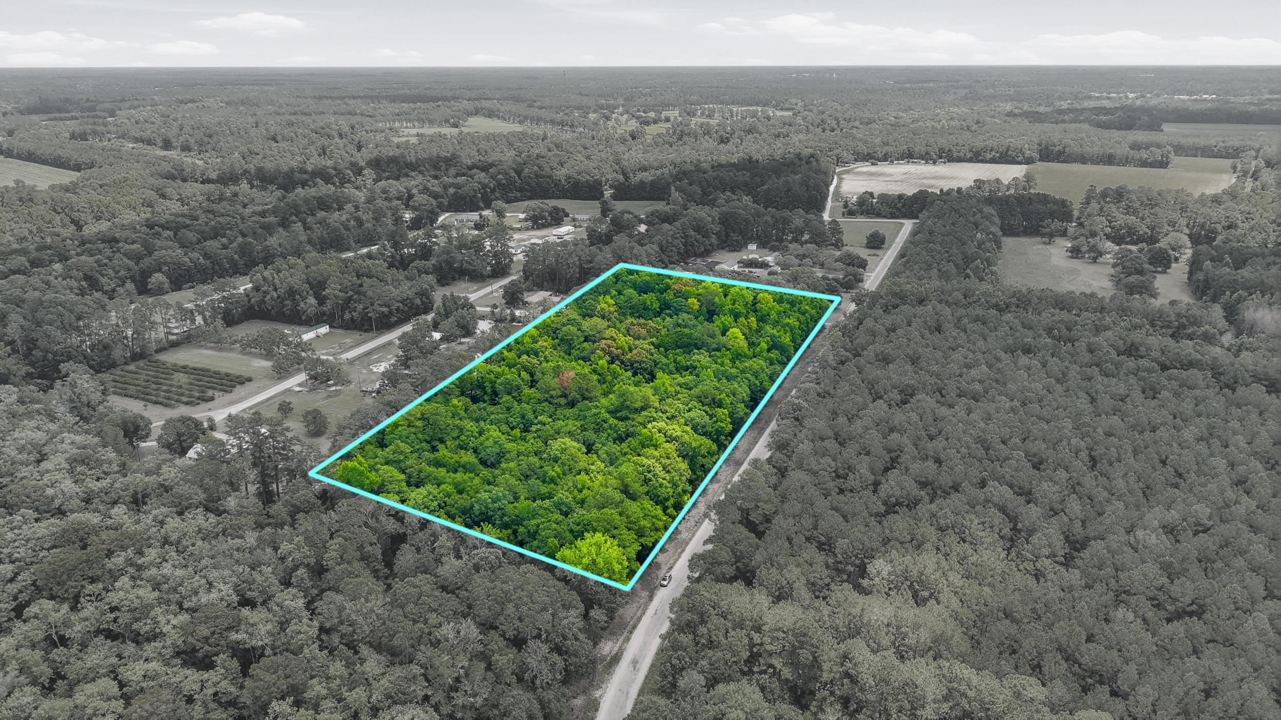 Homes for sale in Galivants Ferry